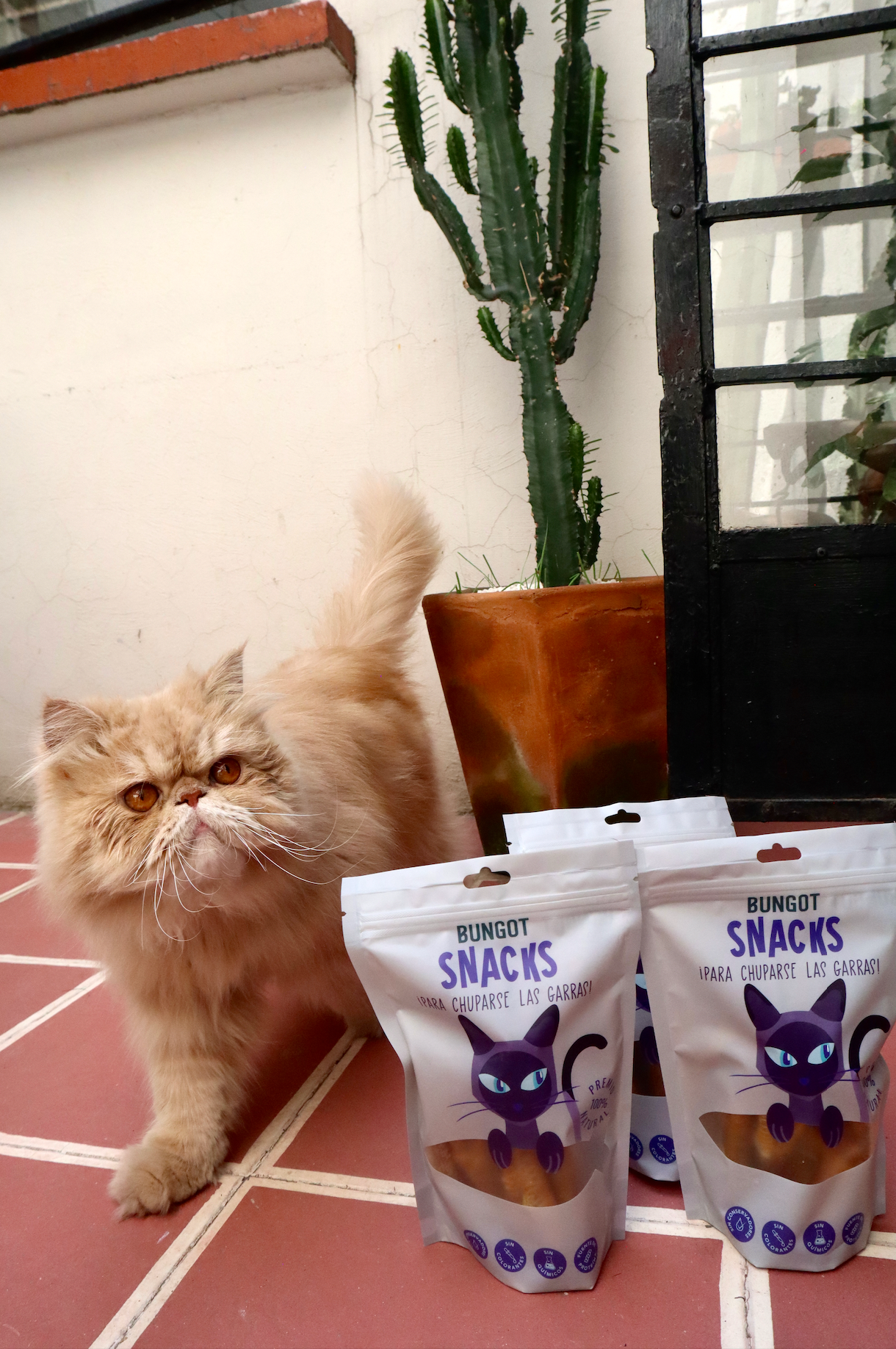 Snacks Patas de Pollo para Gatos