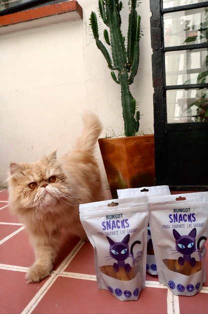 Snacks Patas de Pollo para Gatos