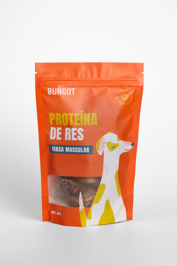 Pulmón de Res