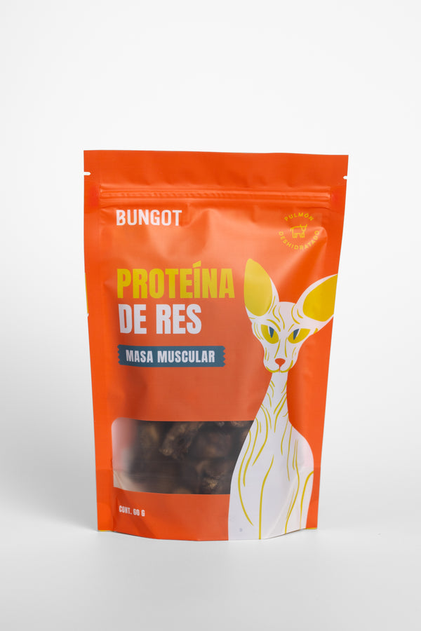 Pulmón de Res