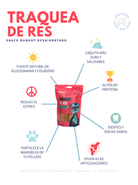 Tráquea de Res