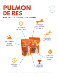 Pulmón de Res