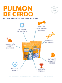 Pulmón de Cerdo