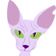 Cleo